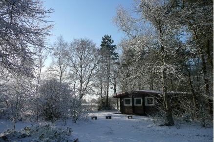 Bungalowpark de Bronzen Emmer Drenthe met paardenstalling en manege VMP019